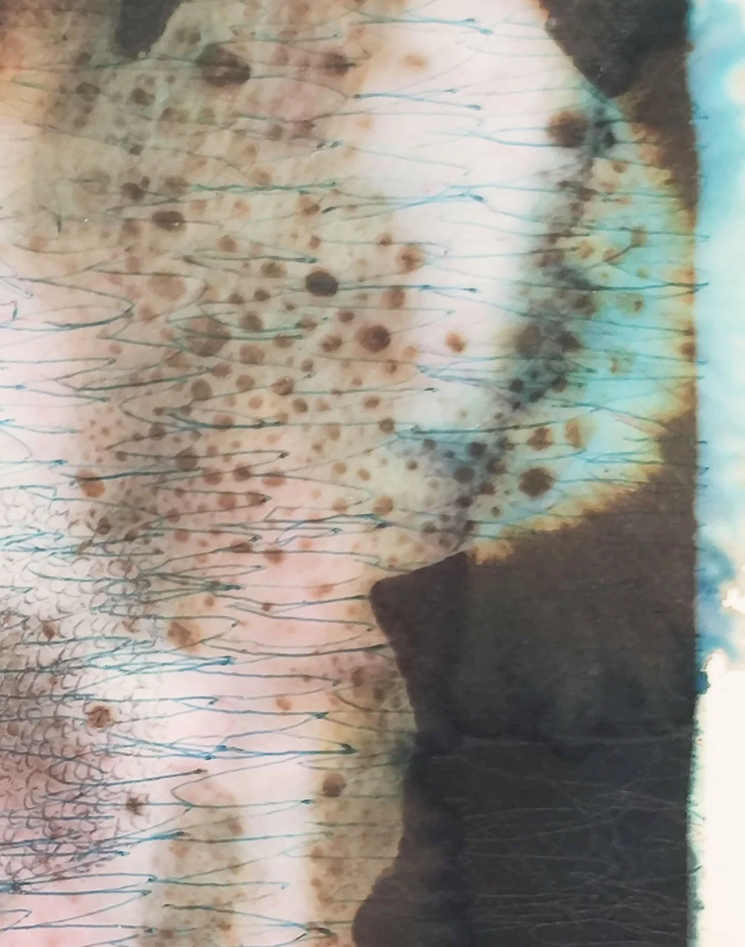 Chromatographie de la peinture cellules abstraites